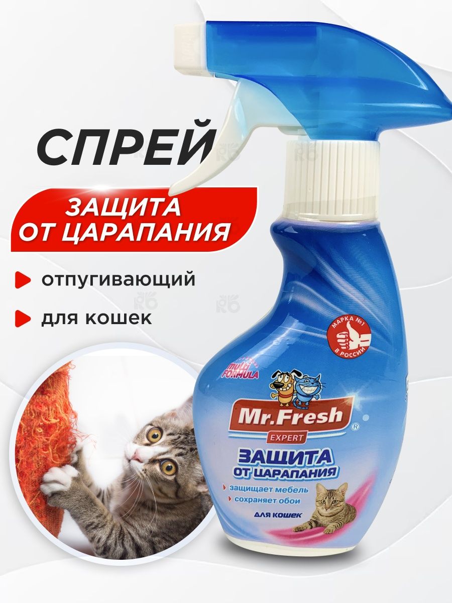 Отпугнуть кошку от мебели