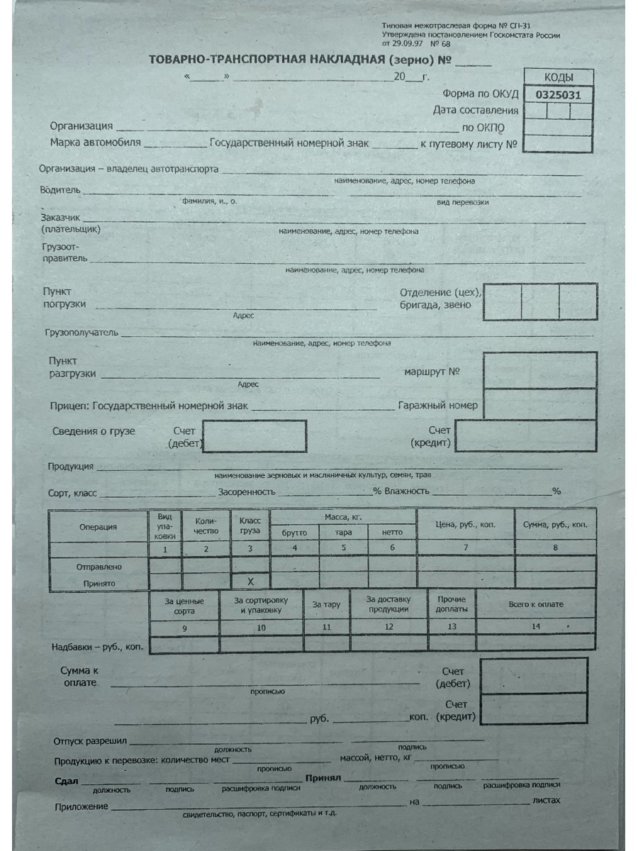 Ттн сп 31 зерно образец заполнения