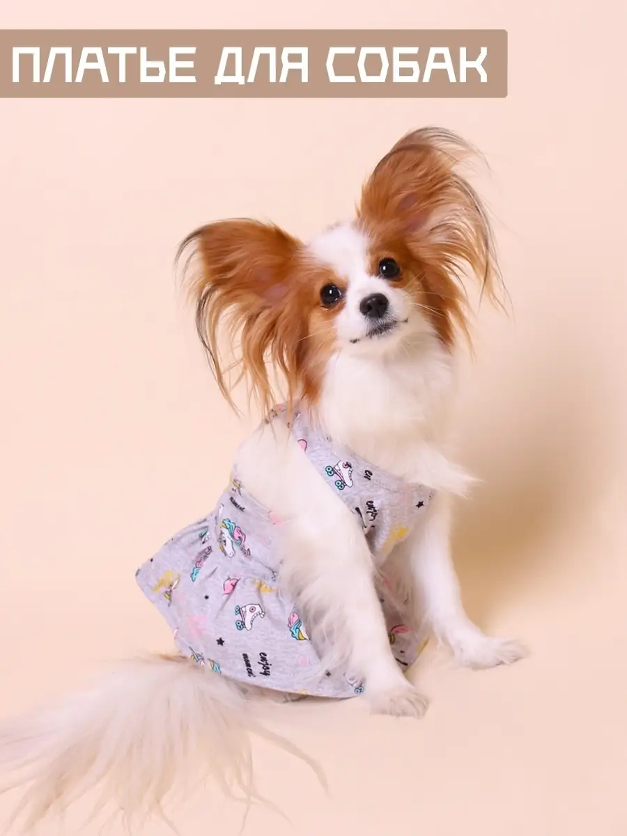 Шьем платье для собаки своими руками - выкройка — Интернет-магазин одежды для собак Zoostyle