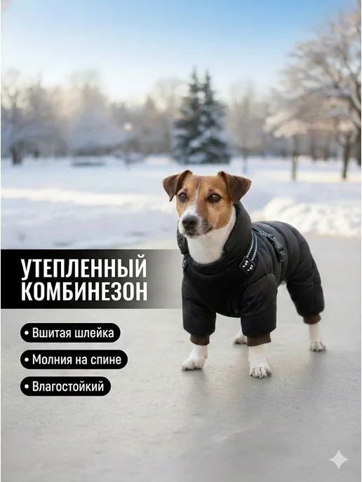 Arnydog Комбинезон для собак мелких и средних пород, вариант