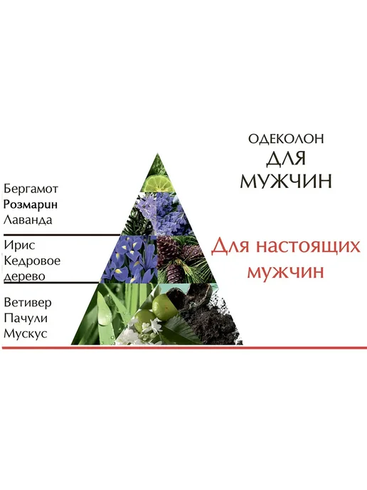 новая заря Одеколон "Саша" 100 мл, 100 мл, фото 3