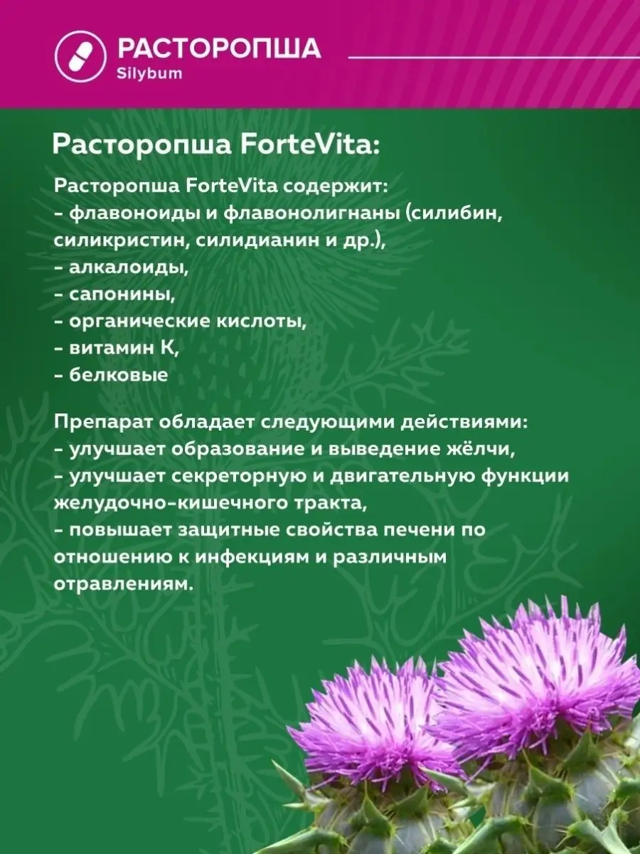 Расторопша (силимарин) 60 капсул экстракт натуральный Алвитта 77302119  купить за 455 ₽ в интернет-магазине Wildberries