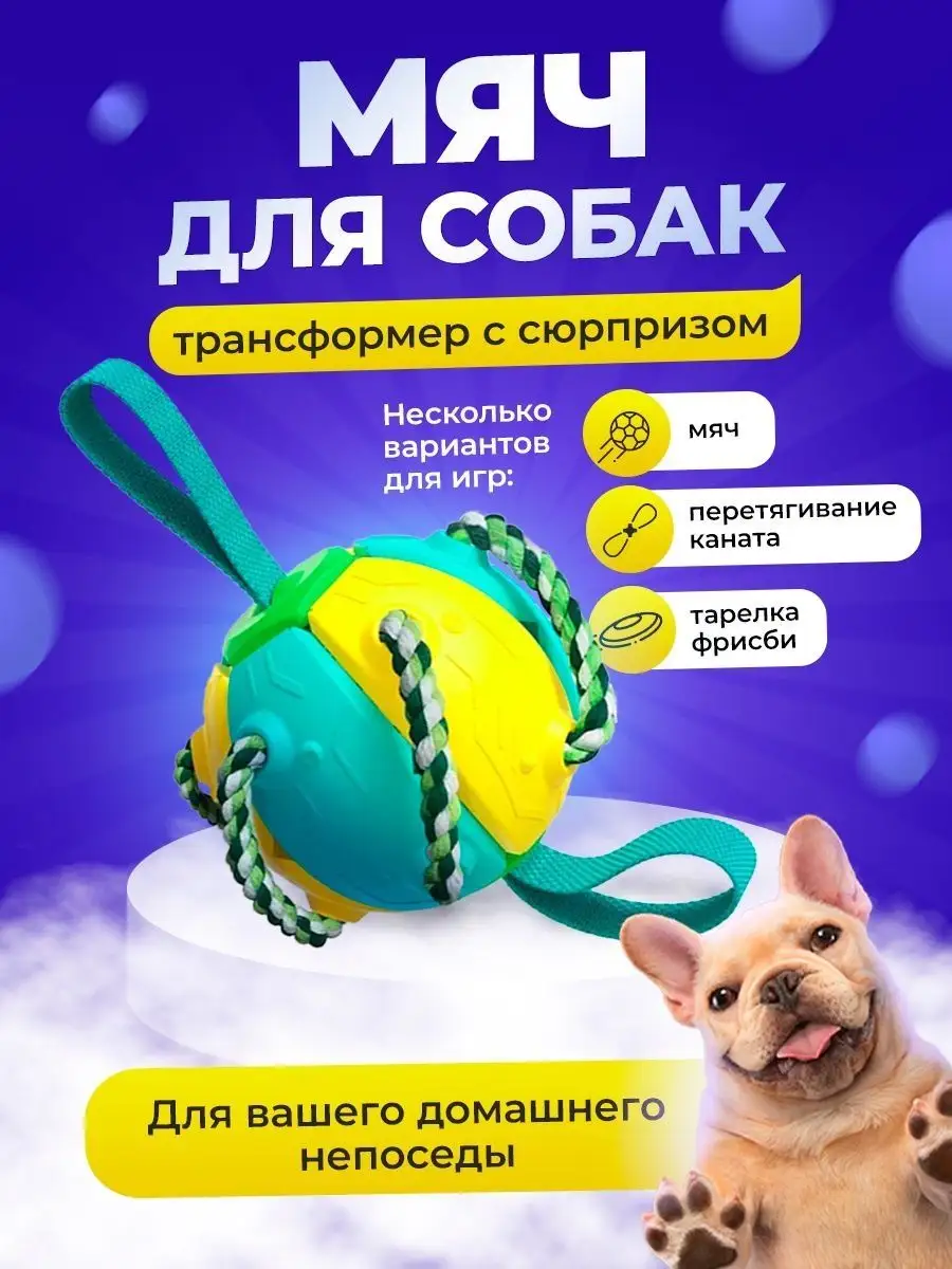 Мяч для собак ZOOMAGG 77307401 купить за 773 ₽ в интернет-магазине  Wildberries