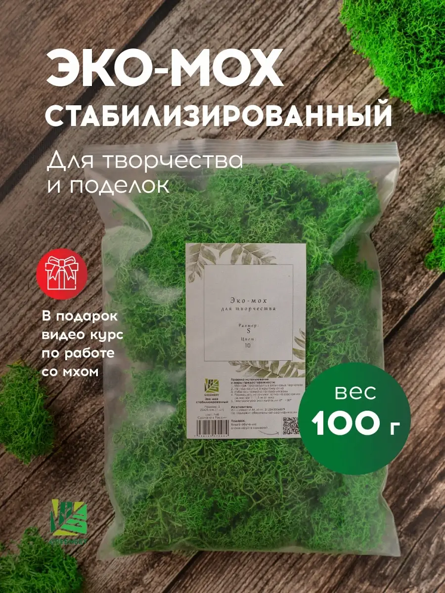 Эко-мох стабилизированный ECONOM. Цвет №10 Салатовый