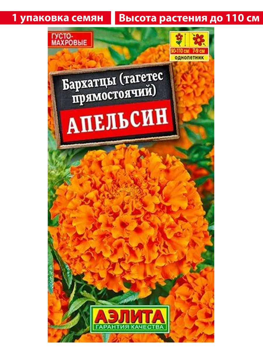 Бархатцы апельсин