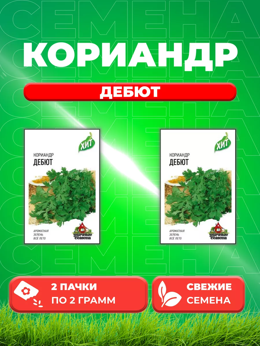 Кориандр Дебют 2,0 г ХИТ х3 (2уп) Удачные семена 77807809 купить за 213 ₽ в  интернет-магазине Wildberries