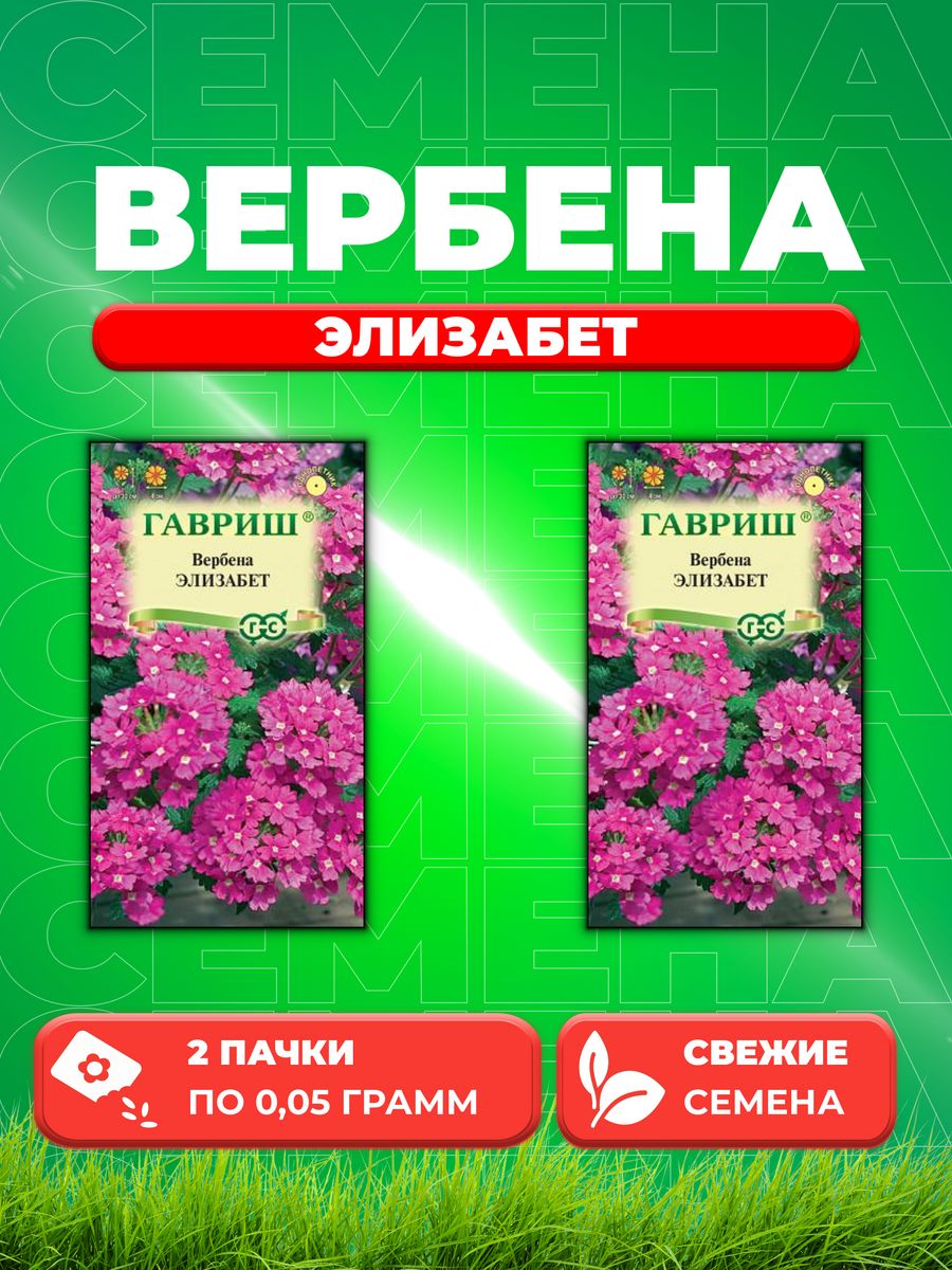 Вербена тонкорассеченная семена