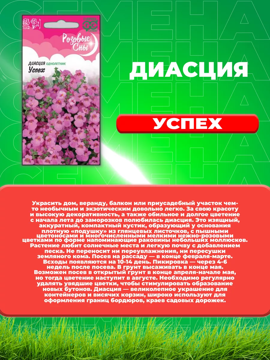 Диасция Успех, 0,01г, Гавриш, Розовые сны (2уп) Гавриш 77814394 купить за  169 ₽ в интернет-магазине Wildberries