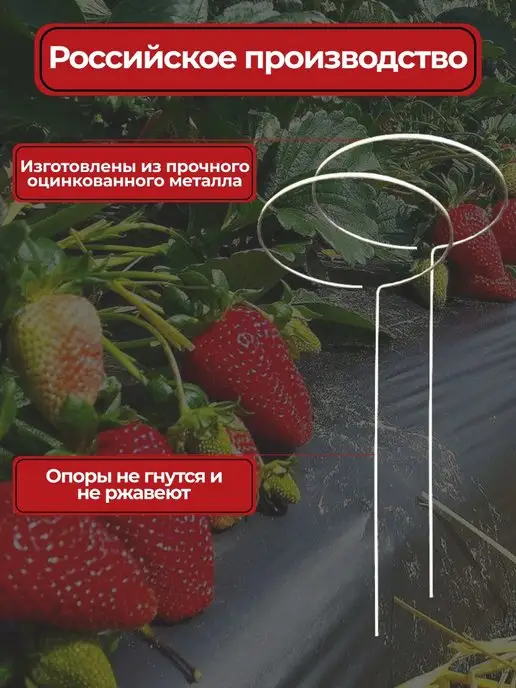 Сельпошка Держатель для растений, голубой, фото 4