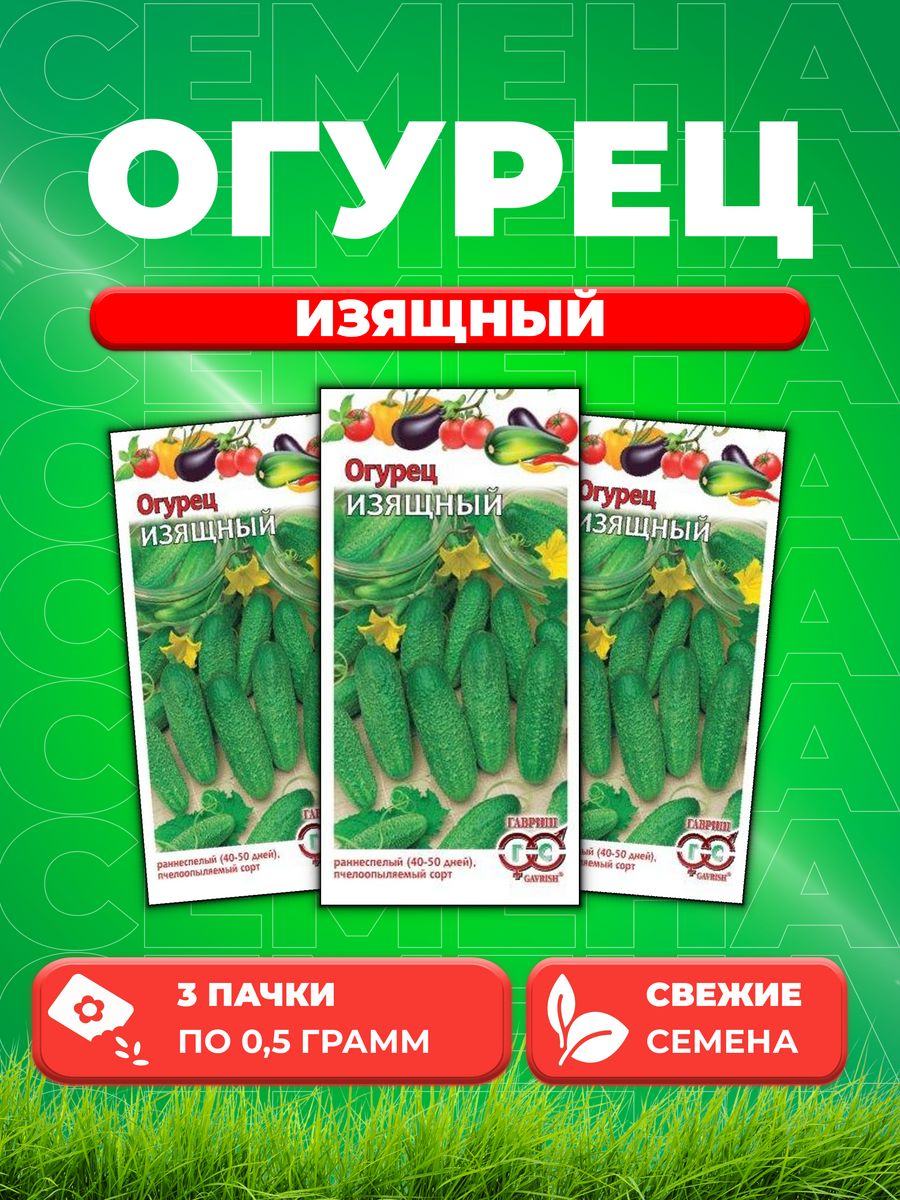 Огурец изящный характеристика и отзывы