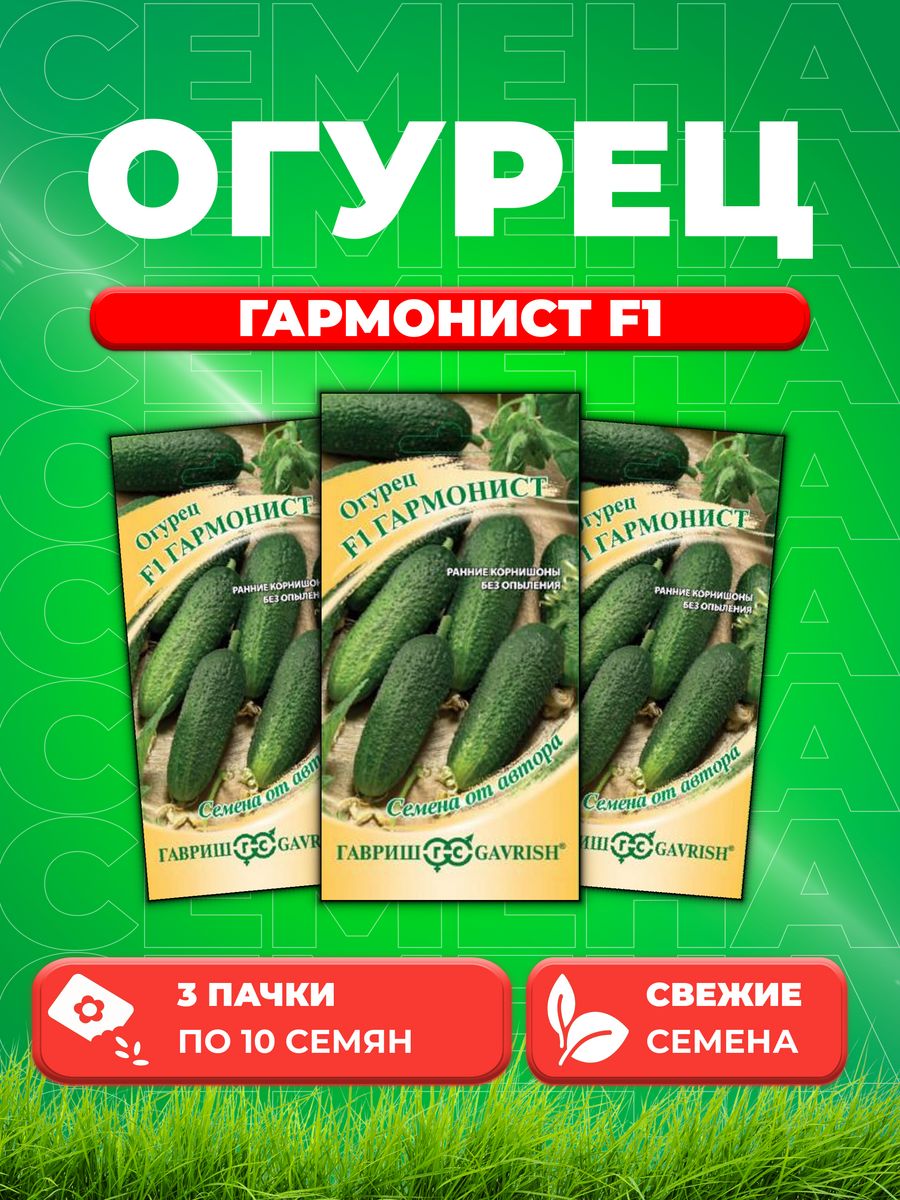 Огурец гармонист f1 фото. Огурец гармонист f1. Огурец гармонист f1 10шт уд.семена. Огурцы гармонист отзывы. Огурец гармонист фото.