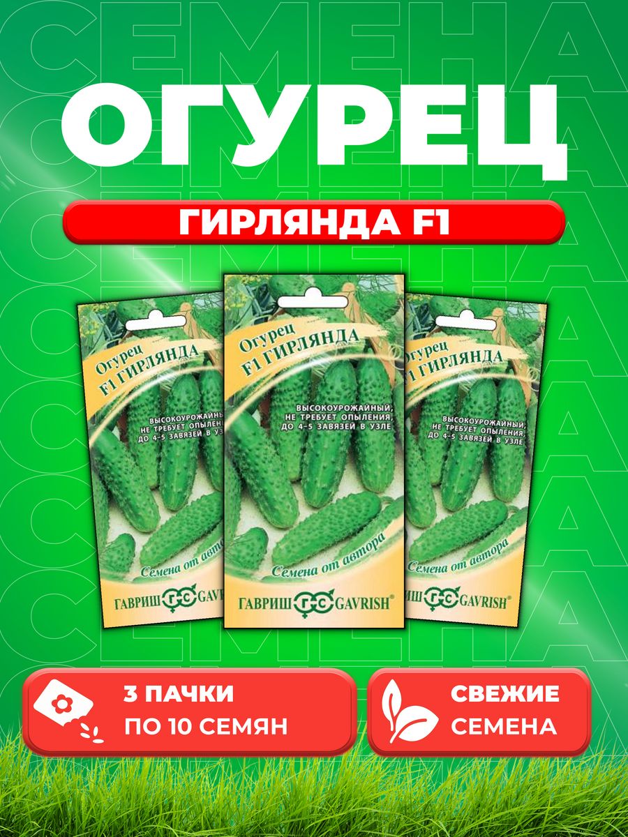 Огурец гирлянда f1 отзывы фото