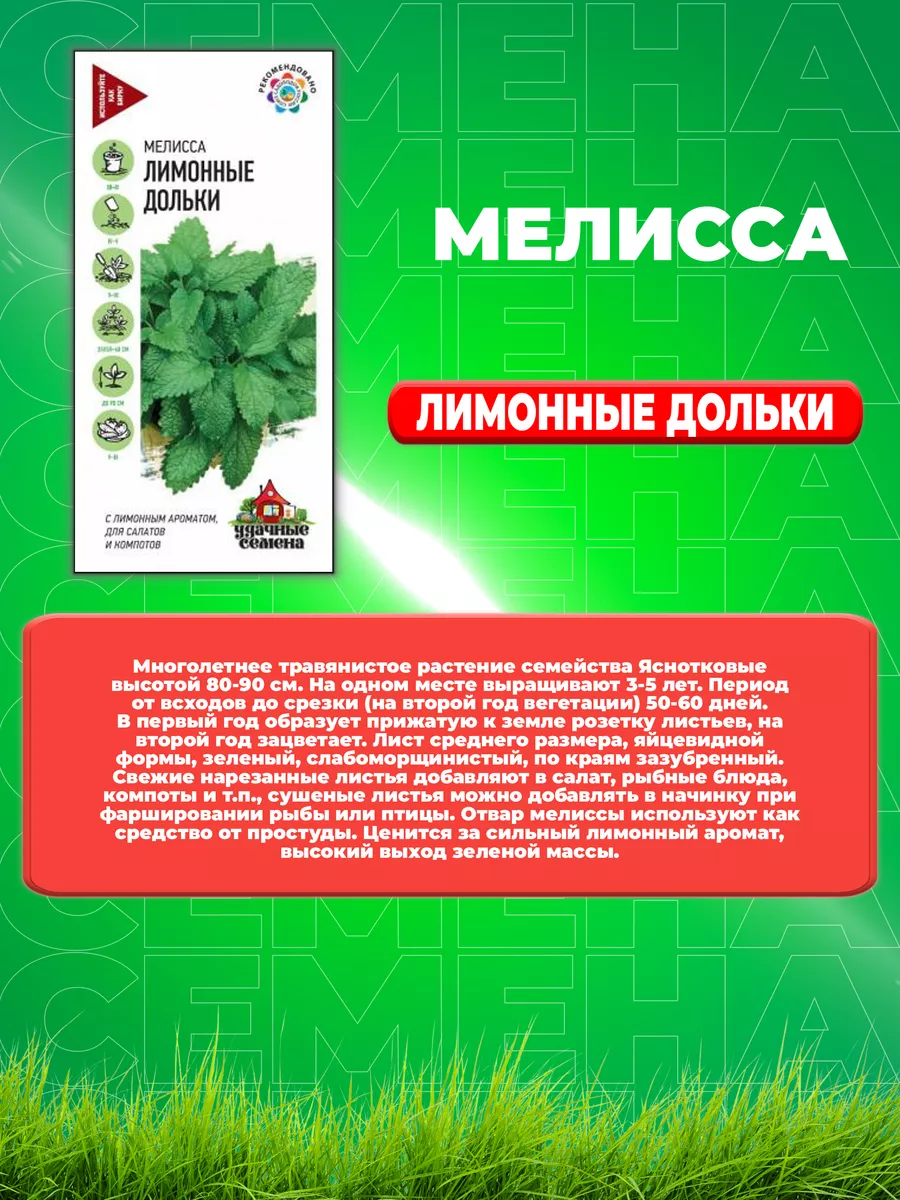 Мелисса лекарственная Лимонные дольки 0,1 г. Уд. с.(3уп) Удачные семена  77949576 купить за 214 ₽ в интернет-магазине Wildberries