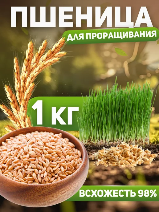 Алтайские угодья Пшеница для проращивания 1 кг, 1 кг