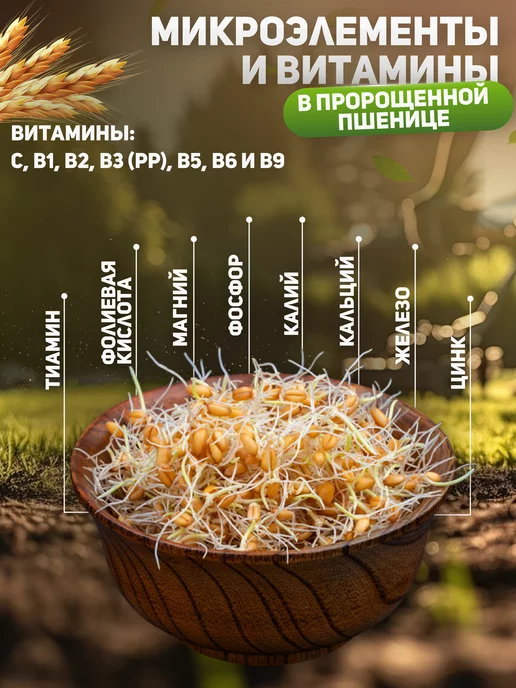 Алтайские угодья Пшеница для проращивания 1 кг, 1 кг, фото 3