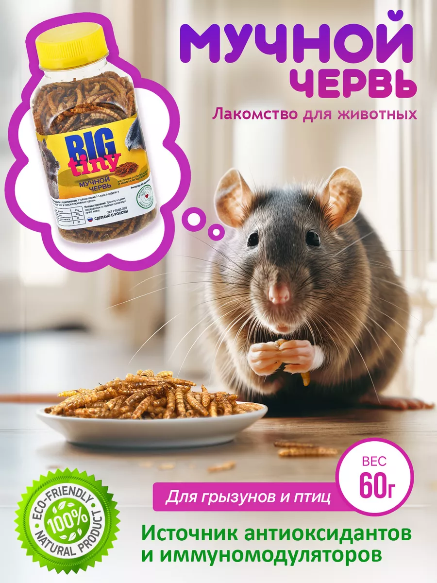 Мучной червь для крыс и хомяков, ежей и черепах Big Tiny 77986360 купить за  293 ₽ в интернет-магазине Wildberries