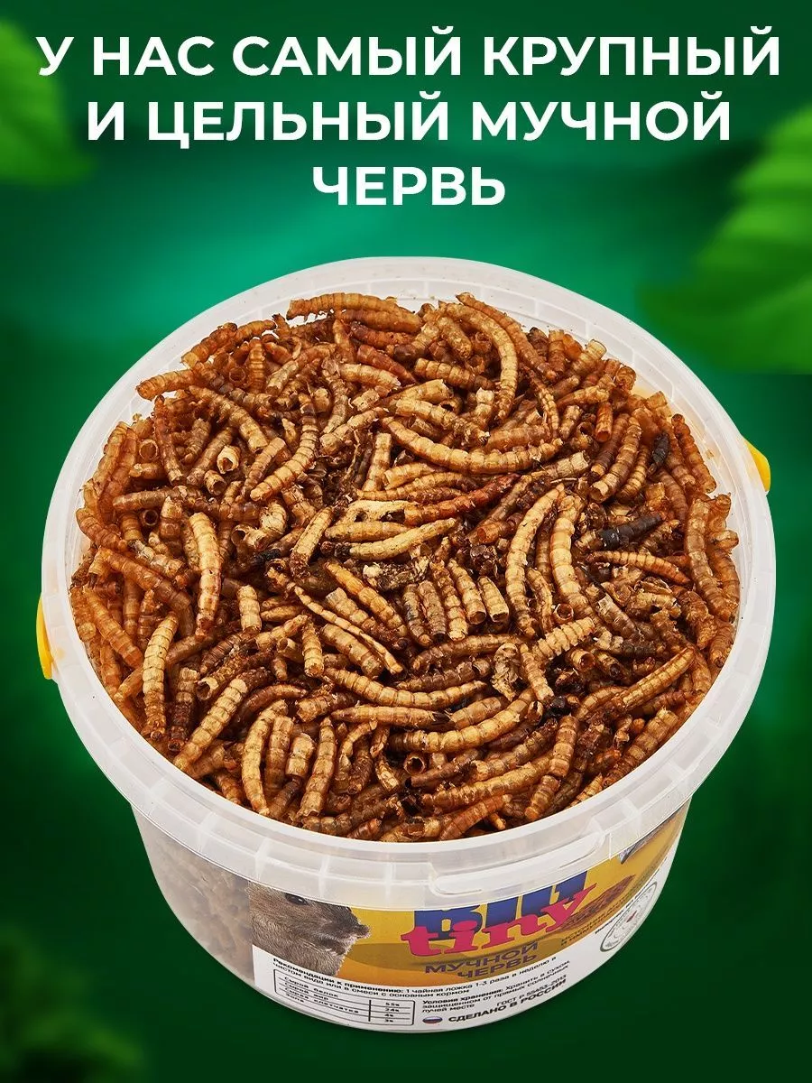 Корм для крыс хомяков ежей...