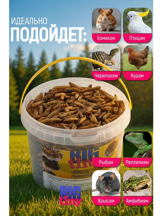 Big Tiny Черная львинка для черепах крыс хомяков ежей, черный, фото 2
