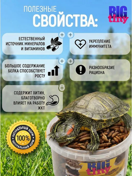 Big Tiny Черная львинка для черепах крыс хомяков ежей, черный, фото 3