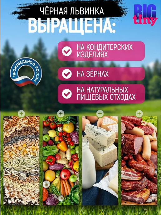 Big Tiny Черная львинка для черепах крыс хомяков ежей, черный, фото 4