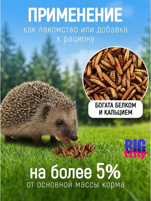 Big Tiny Черная львинка для черепах крыс хомяков ежей, черный, фото 5