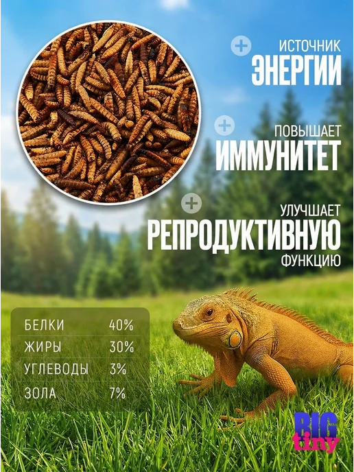 Big Tiny Черная львинка для черепах крыс хомяков ежей, черный, фото 6
