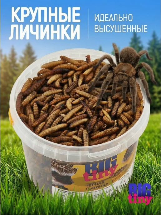 Big Tiny Черная львинка для черепах крыс хомяков ежей, черный, фото 7