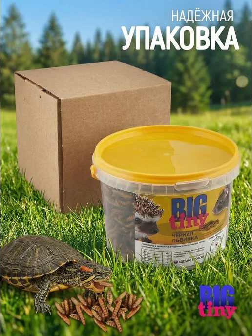 Big Tiny Черная львинка для черепах крыс хомяков ежей, черный, фото 8