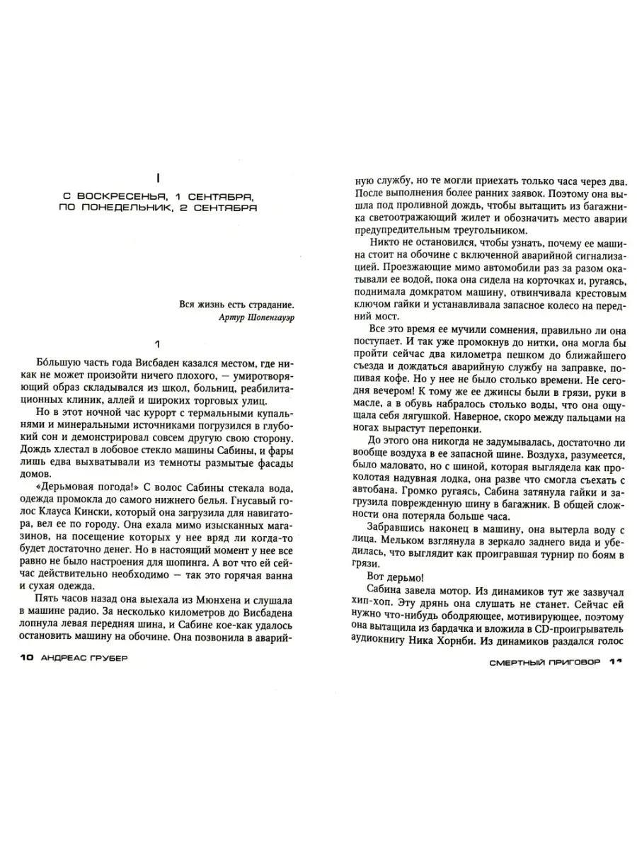 Андреас Грубер Смертный приговор Центрполиграф 78071272 купить в  интернет-магазине Wildberries