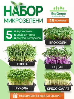 Микрозелень набор для проращивания 5 сортов семян EcoGroup 78235227 купить за 471 ₽ в интернет-магазине Wildberries