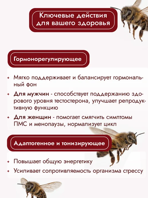АЛТЫН СОЛОК Трутневое молочко в гранулах, трутневый гомогенат, вариант, фото 4