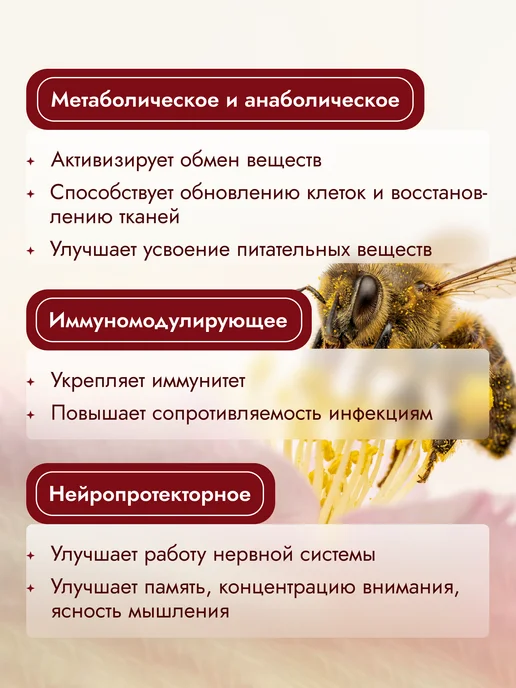 АЛТЫН СОЛОК Трутневое молочко в гранулах, трутневый гомогенат, вариант, фото 5
