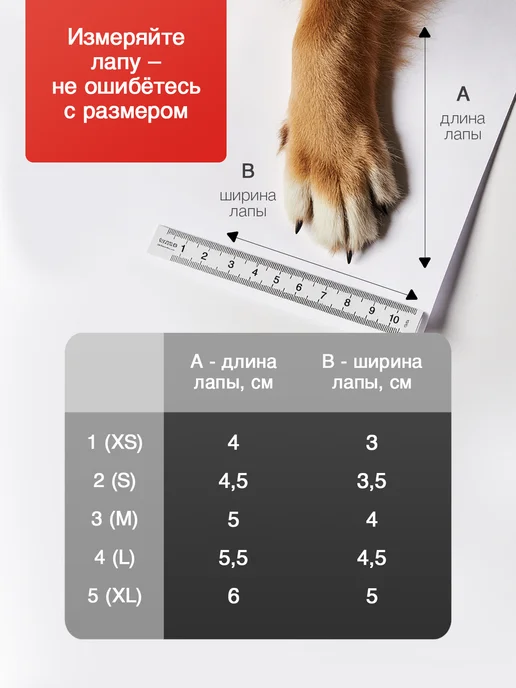 Arnydog Ботинки для собак мелких и средних пород, серый, фото 3