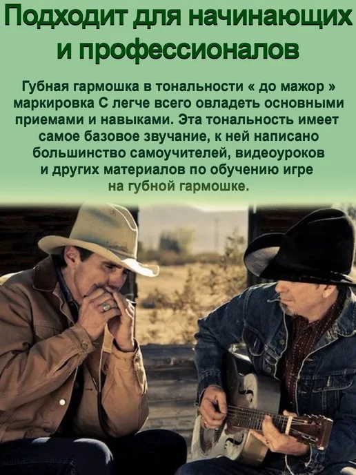 Check POINT Губная гармошка музыкальные инструменты для детей и взрослых, серый, фото 6