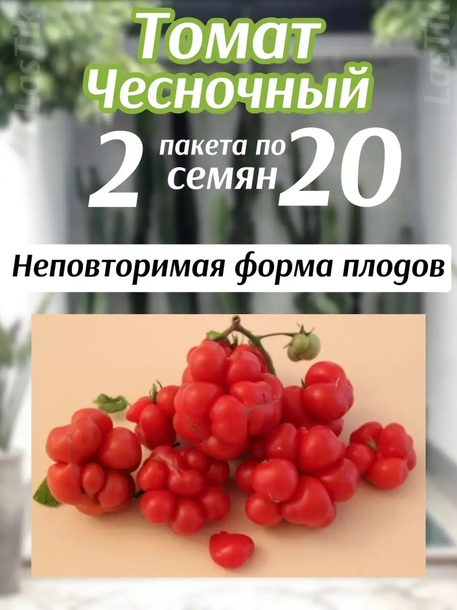 Томат Чесночный 2 пакета по 20шт семян Сибирский сад 78420461 купить за 259  ₽ в интернет-магазине Wildberries