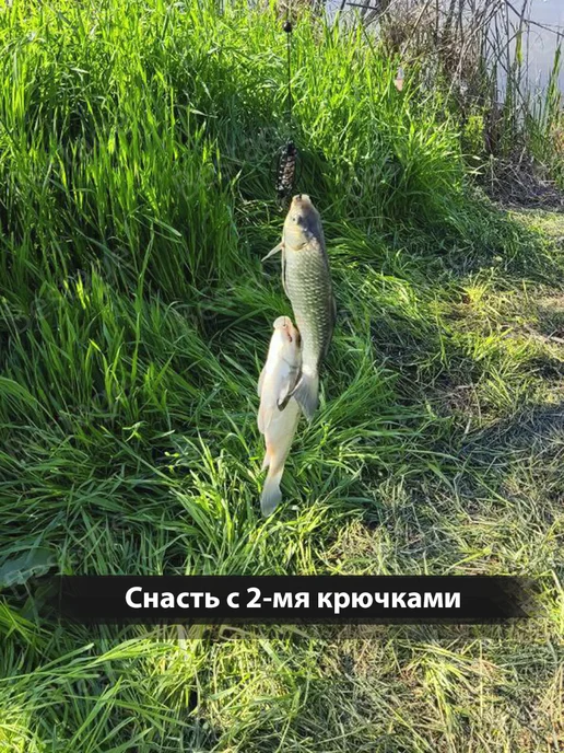 Bestage Кормушки для рыбалки фидерные оснащенные, черный, фото 5
