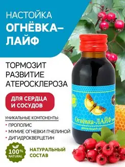 Огнёвка для сердца и сосудов 100 мл Жива 78510382 купить за 648 ₽ в интернет-магазине Wildberries