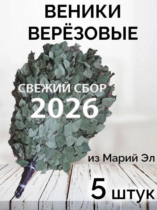 веник для бани березовый банный 5 штук 2026, 5 шт