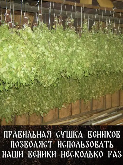 веник для бани березовый банный 5 штук 2026, 5 шт, фото 6