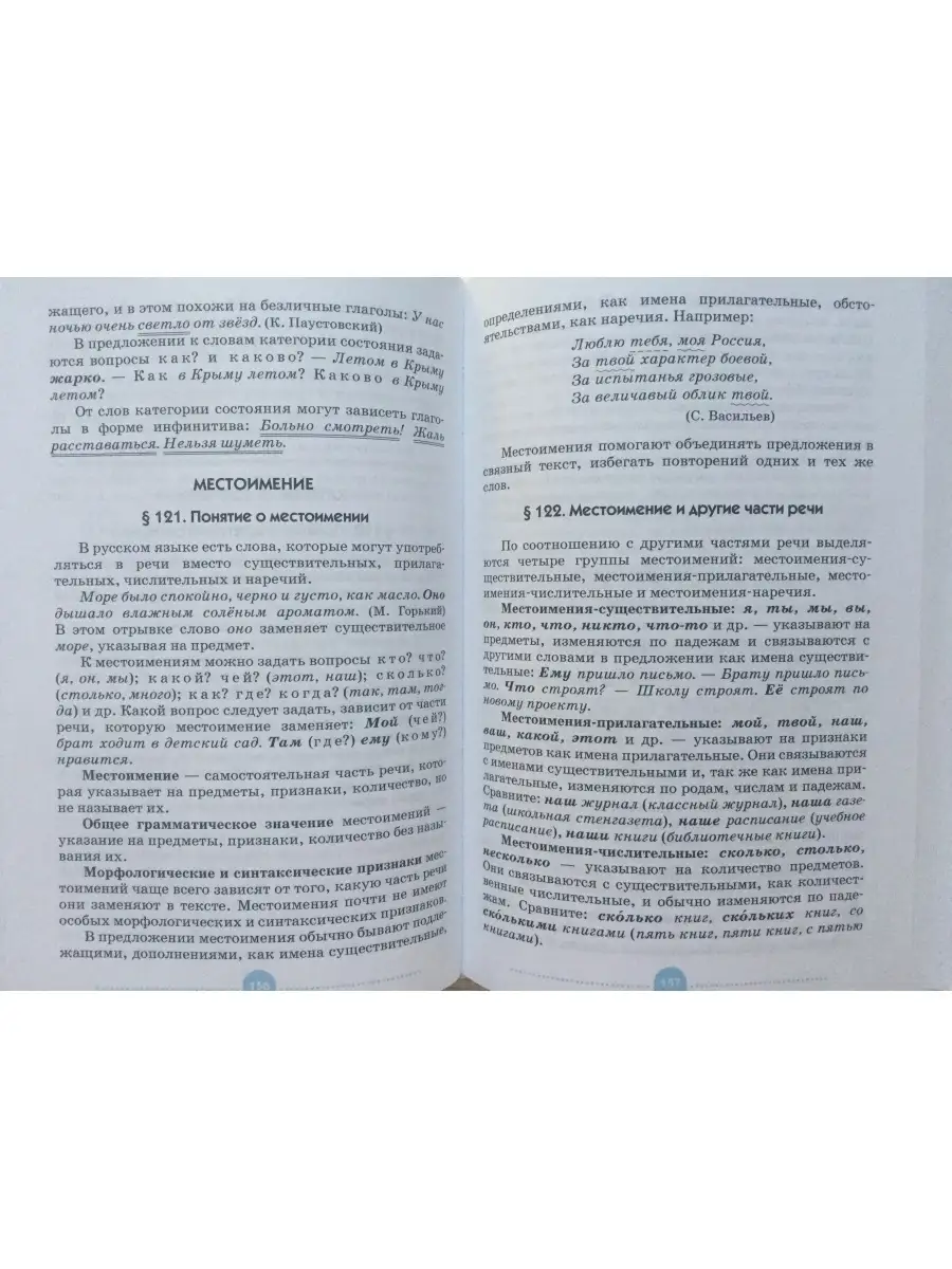 Русский язык теория 5-9 классы В.В.Бабайцева Л.Д.Чеснокова ДРОФА 78553485  купить в интернет-магазине Wildberries