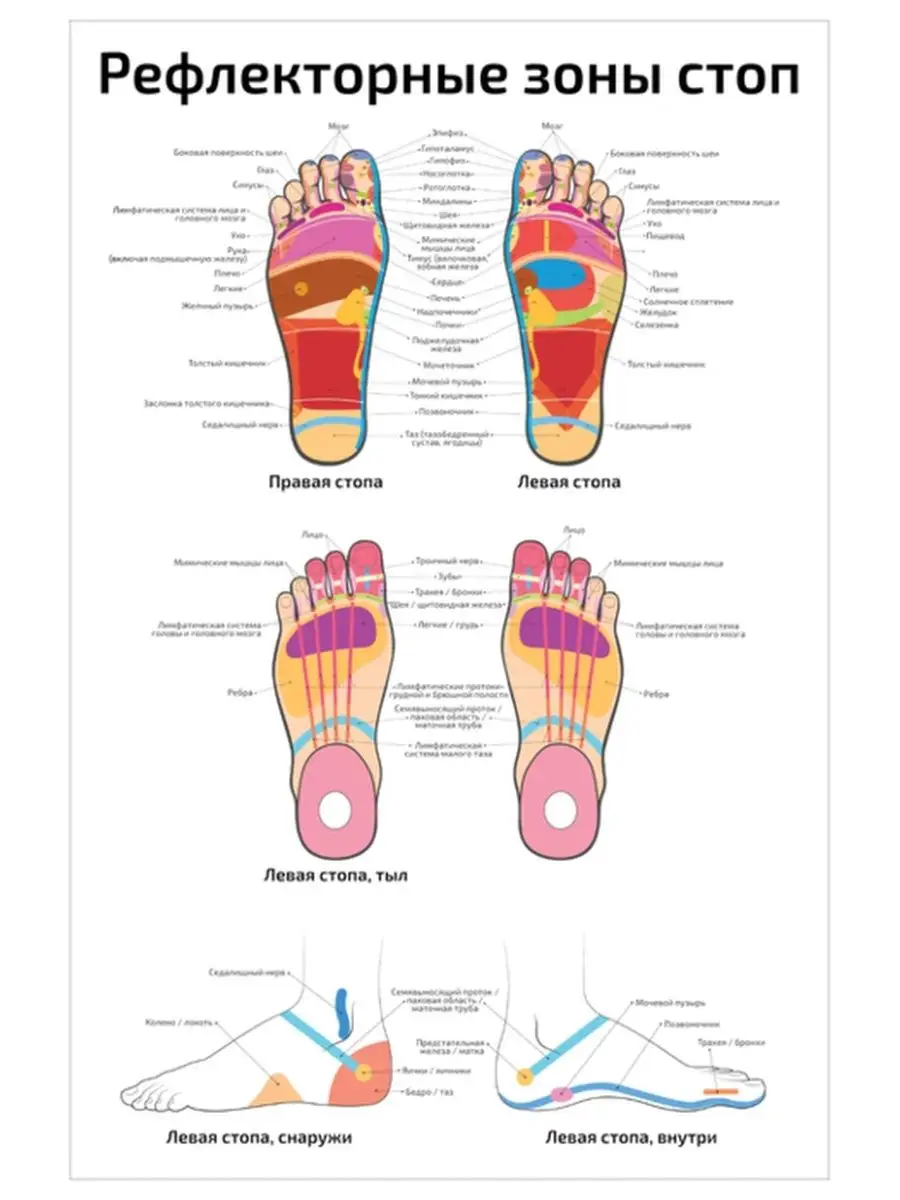 Массаж ступней ног: рефлекторные зоны