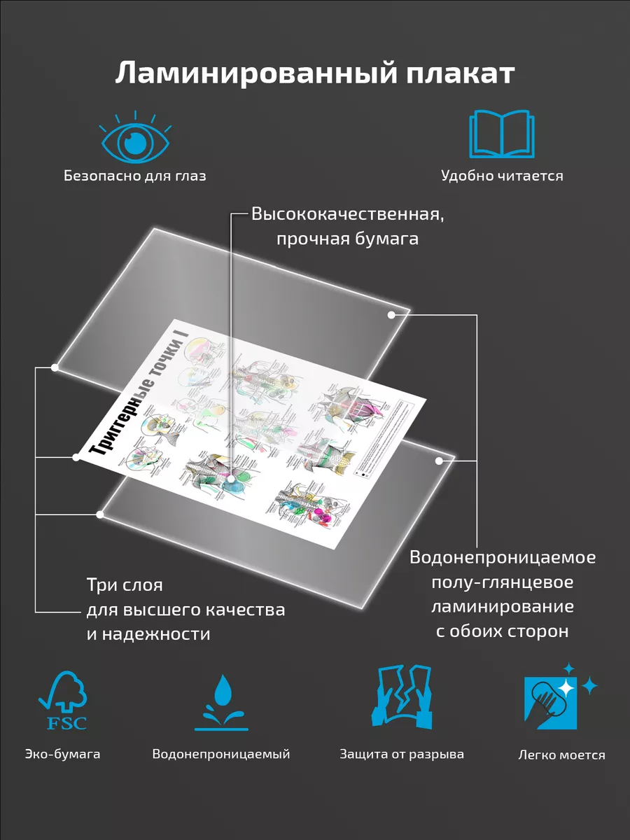 Триггерные точки I медицинский плакат 45х61см Квинг 78558089 купить за 462  ₽ в интернет-магазине Wildberries