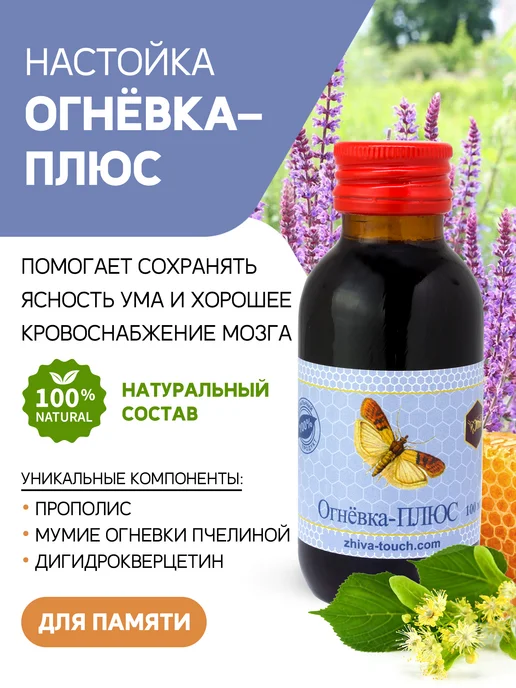 Настойка Огневка Плюс для улучшения памяти и работоспособнос…, 100 мл
