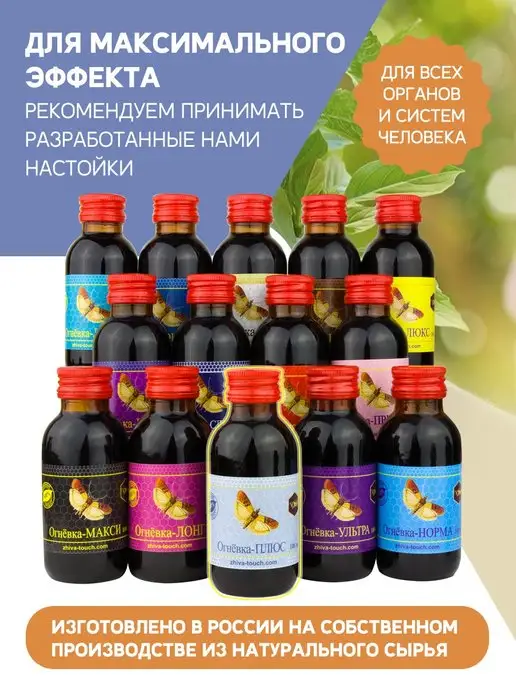 Настойка Огневка Плюс для улучшения памяти и работоспособнос…, 100 мл, фото 4