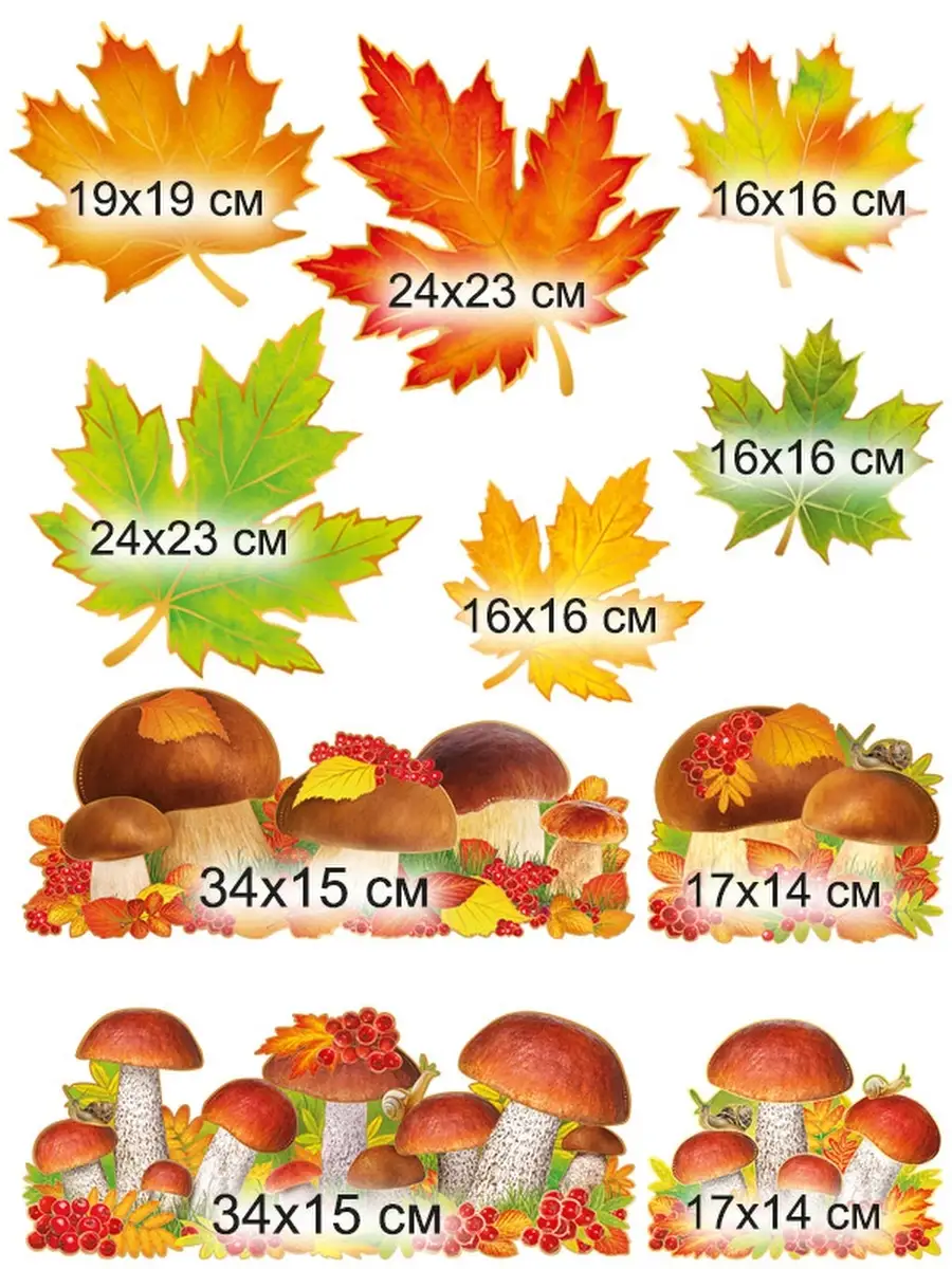 плакат осенний листья грибы настенный ТМ Империя поздравлений 78751488  купить за 220 ₽ в интернет-магазине Wildberries