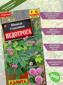 Мимоза Недотрога Агрофирма Аэлита 78778217 купить за 103 ₽ в интернет-магазине Wildberries