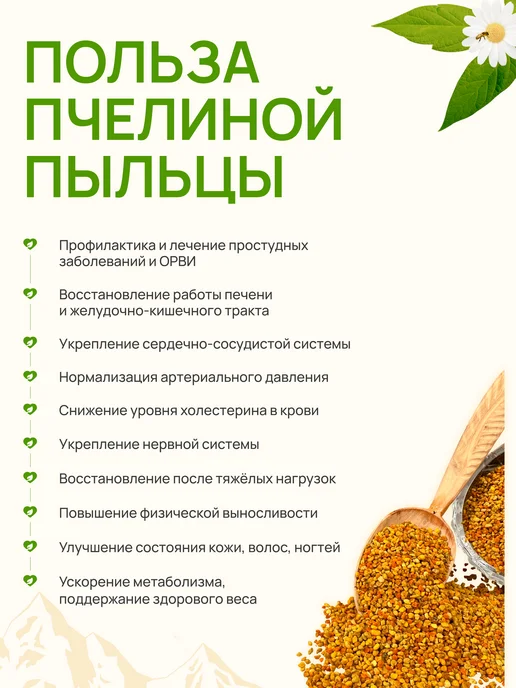 AЛТАЙ ПРЕMИУM Пыльца цветочная пчелиная 300 г сбор 2026 г, 100 г, 2026 г, фото 4