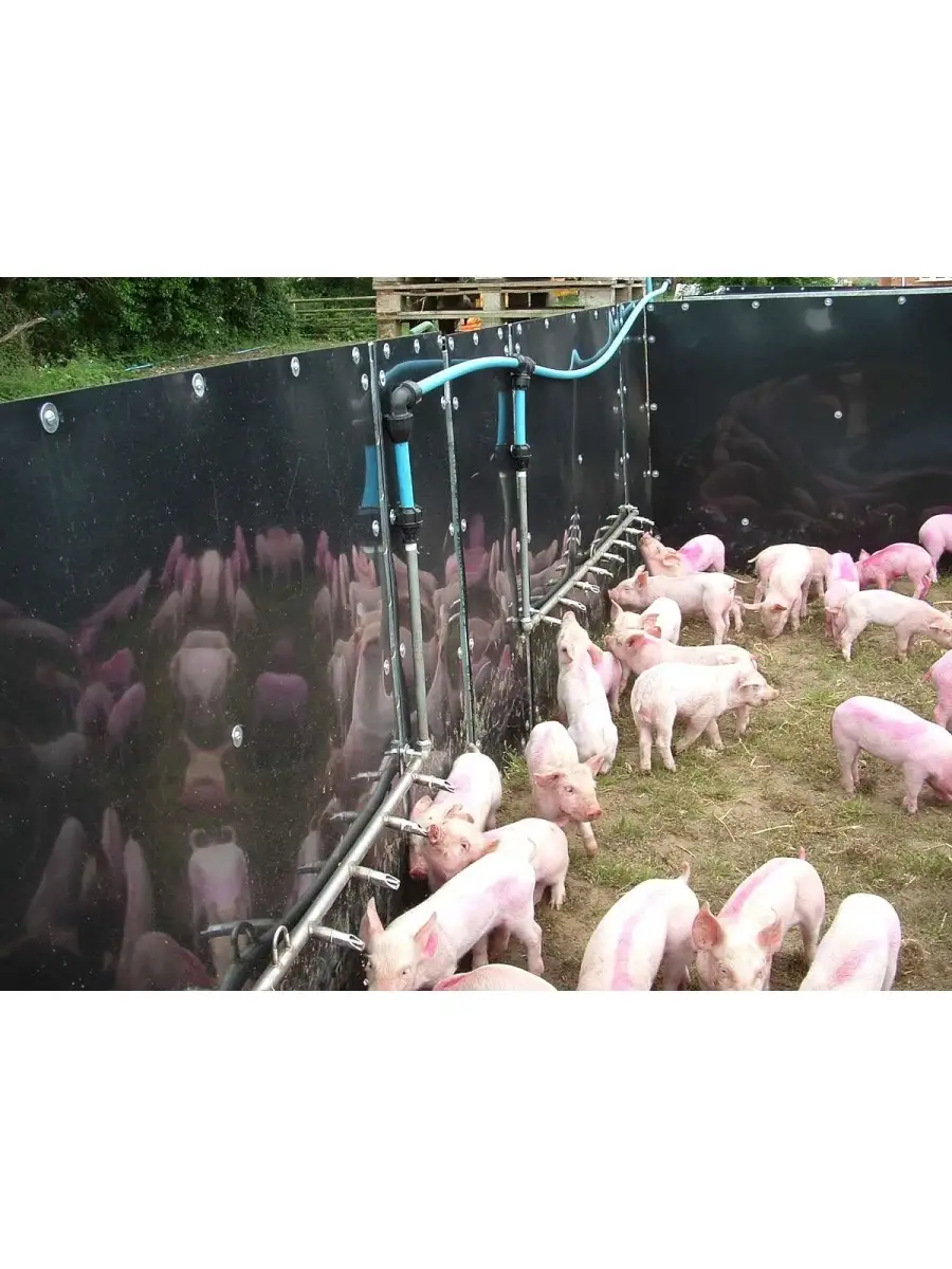 Кормушки для свиней и поросят своими руками: бункерные (автоматические), оригинальные, чертежи