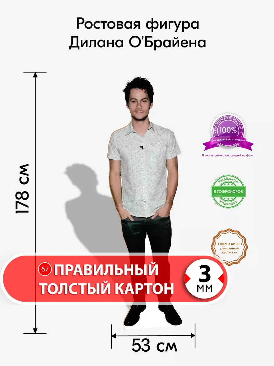 Дилан О'Брайен картонная ростовая фигура
