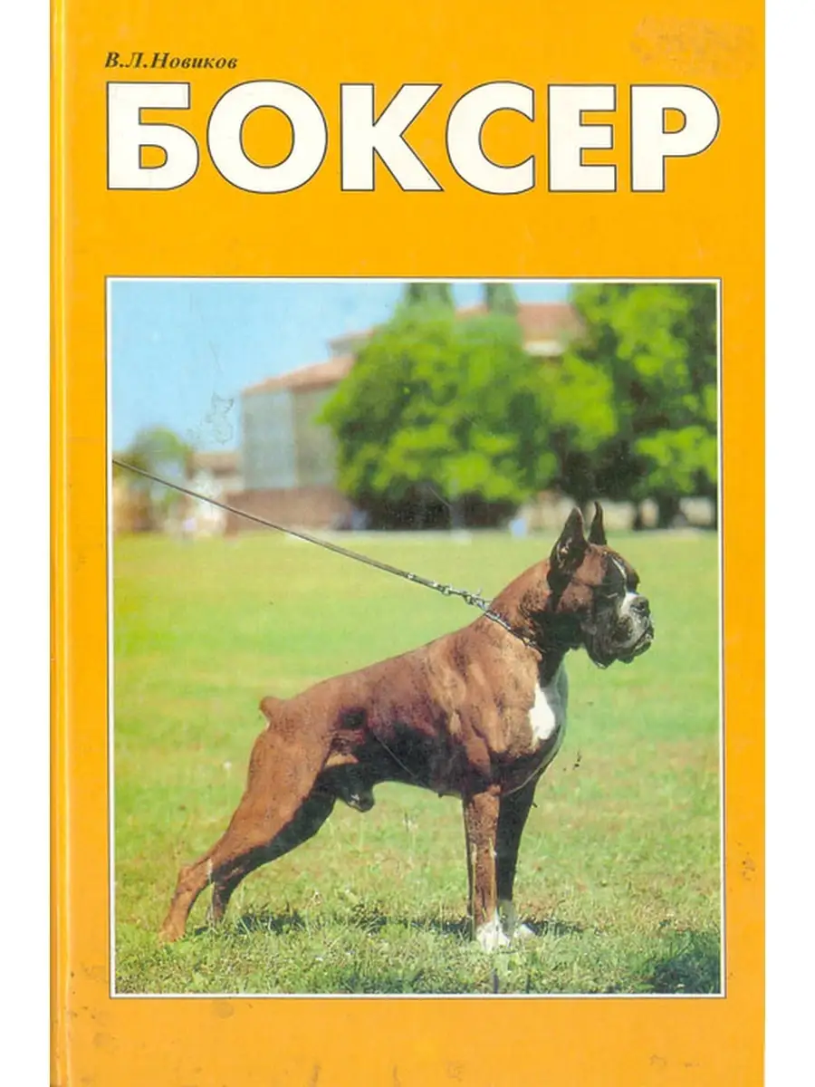Книги про боксеров. Читать книгу боксер 2. Читать книгу боксер 2. Читать книгу боксер 2. Читать книгу боксер 2.